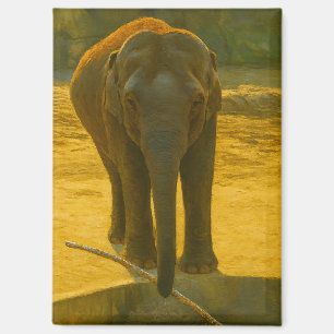 Golden Elephant Wisdom - Majestic Wildlife Magnet