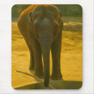 Golden Elephant Wisdom - Majestic Wildlife Mousepad