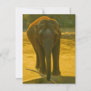 Golden Elephant Wisdom - Majestic Wildlife Postkarte