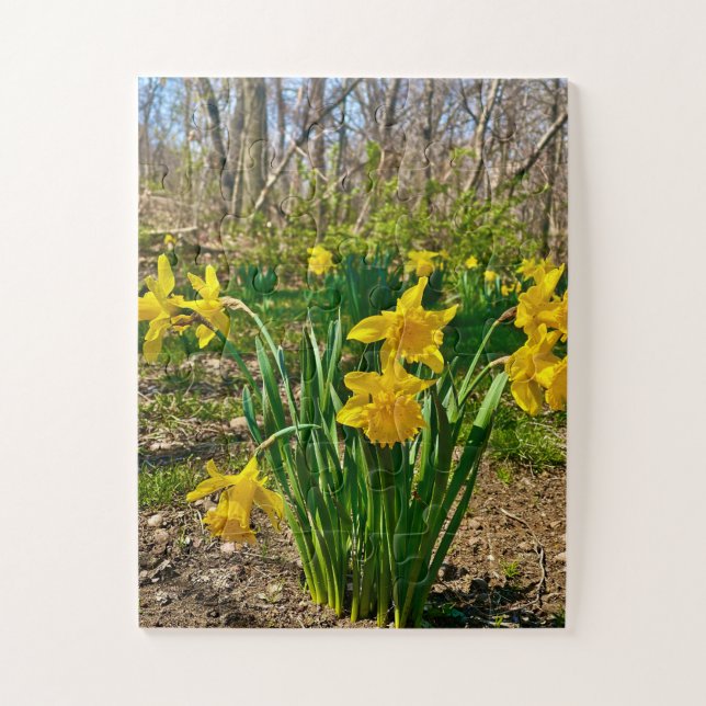 Golden Embrace | Daffodil Bloom in Springtime Puzzle (Vertikal)