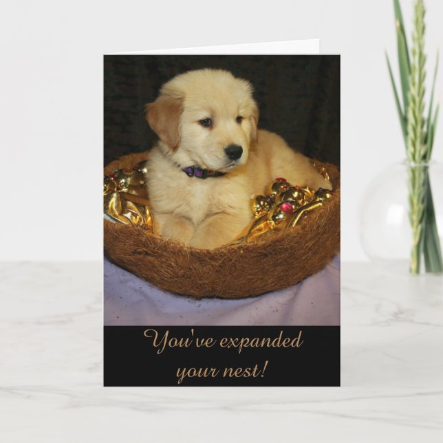 Golden Expand the Nest New Addition Karte (Vorderseite)