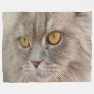 Golden Eye Gray Persian Cat Fleecedecke