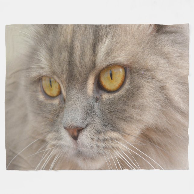 Golden Eye Gray Persian Cat Fleecedecke (Vorderseite (Horizontal))