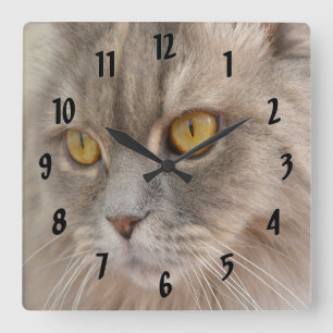 Golden Eye Gray Persian Cat Quadratische Wanduhr