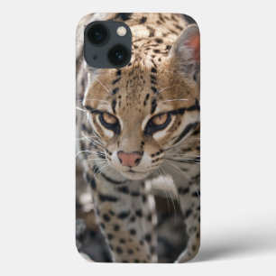 Golden Eyes iPad Mini Case