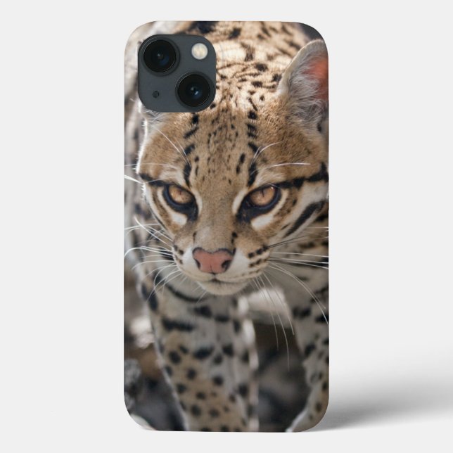 Golden Eyes iPad Mini Case (Rückseite)