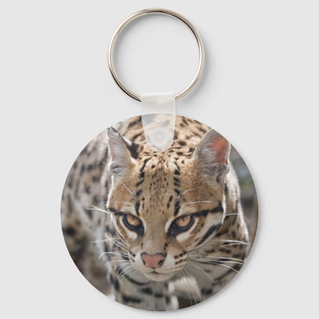 Golden Eyes Keyring Schlüsselanhänger (Vorderseite)