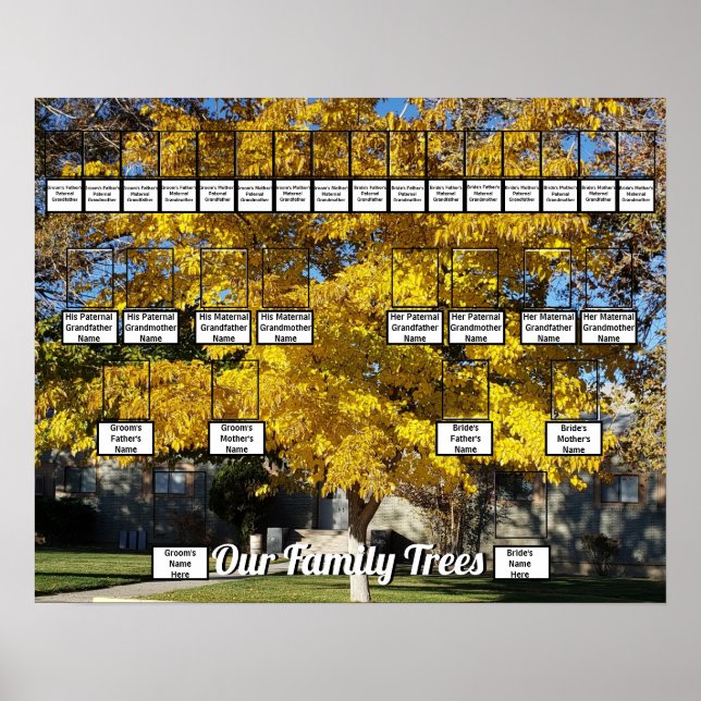 Golden Fall Leaf Tree Foto 2 Familienbäume Poster (Vorne)