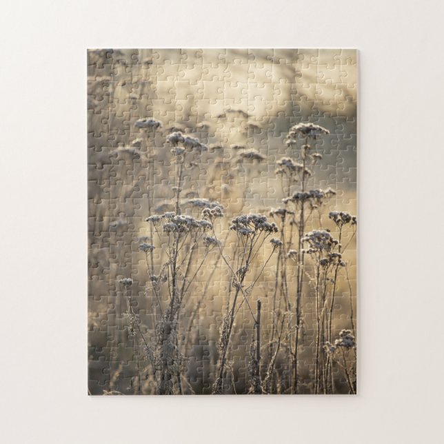 Golden Frosty Morning Flämische Landschaft Puzzle (Vertikal)