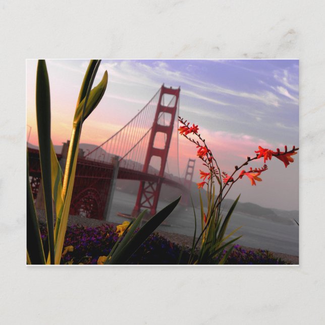Golden Gate Bridge Garden view1 Postkarte (Vorderseite)