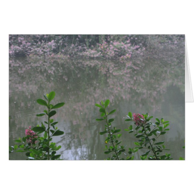 Golden Gate Park 1 (Vorderseite (Horizontal))