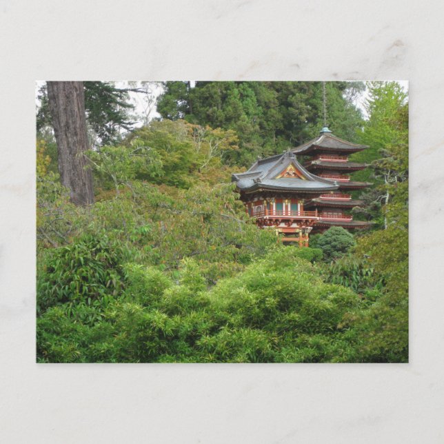 Golden Gate Park San Francisco Postkarte (Vorderseite)