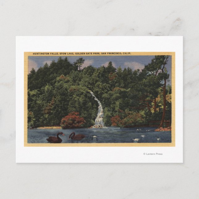 Golden Gate Park, Stow Lake, Huntington Falls Postkarte (Vorderseite)