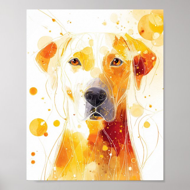 Golden Gaze Poster (Vorne)