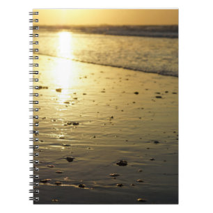 Golden Glassy Sand Notizblock