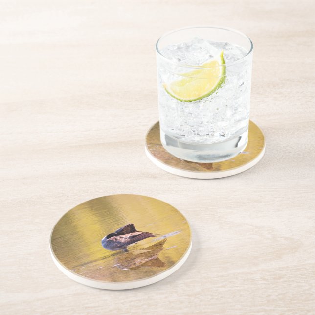 Golden Goose Sandstein Untersetzer (Seite)