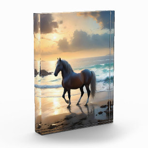 Golden Grace: Ein Palomino Pferd am Sonnenuntergan Fotoblock