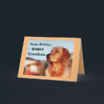 Golden Grandson Geburtstag Golden Retrique Karte<br><div class="desc">Feiern Sie den Geburtstag Ihres Enkels mit einer liebenswerten Karte,  um Golden Retriever Besitzer zu erfreuen. Die Karte verfügt über einen schönen goldenen in einer klassischen Champion Pose. Die Karte ist in fröhlichen Farben in Gold und Schwarz gestaltet und ist ein großartiger Geburtstagskuppel für einen Golden Retriever Fan!</div>