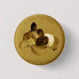 Golden Guinea Pig 2022 Coin, Hut Abzeichen Button