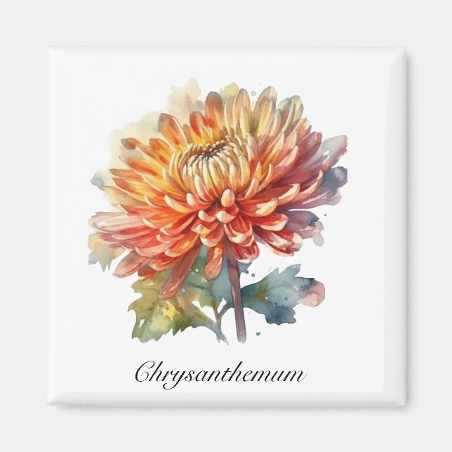 Golden Harvest Chrysanthemum, Brauch Magnet (Vorne)