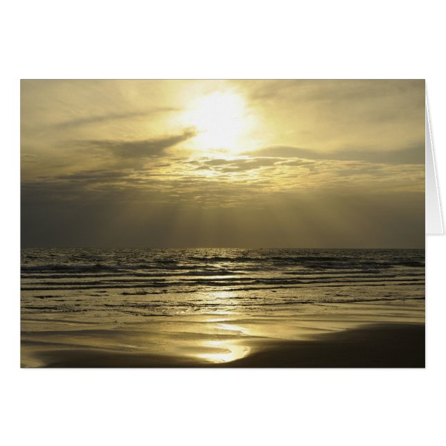 Golden Haze (Vorderseite (Horizontal))