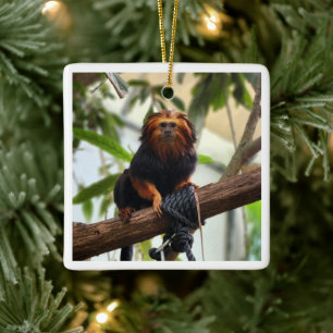 Golden Headed Lion Tamarin III Keramikornament