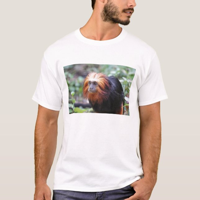 Golden Headed Lion Tamarin Monkey T-Shirt (Vorderseite)