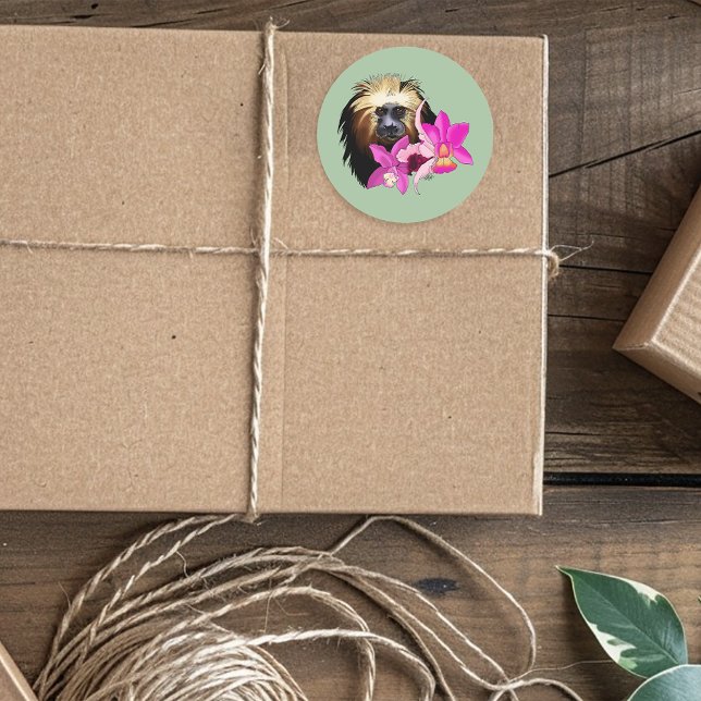 Golden-Headed Löwe Tamarin Monkey Runder Aufkleber (Von Creator hochgeladen)