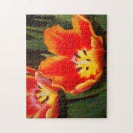 Golden Heart Tulip Puzzle, 11" x 14", 252 pieces Puzzle