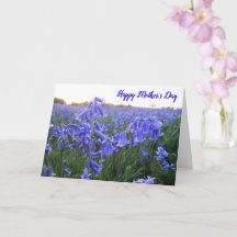Golden Hour Bluebells - Custom Mother's Day Card