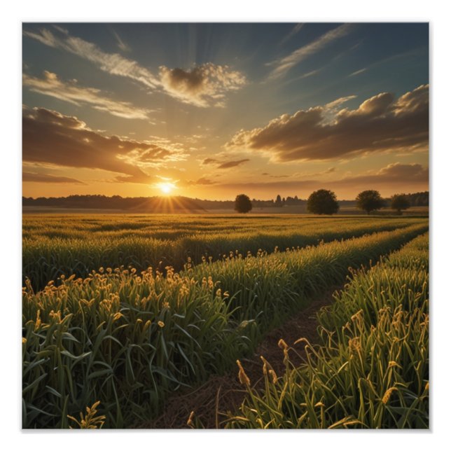 Golden Hour Serenity Fotodruck (Vorne)