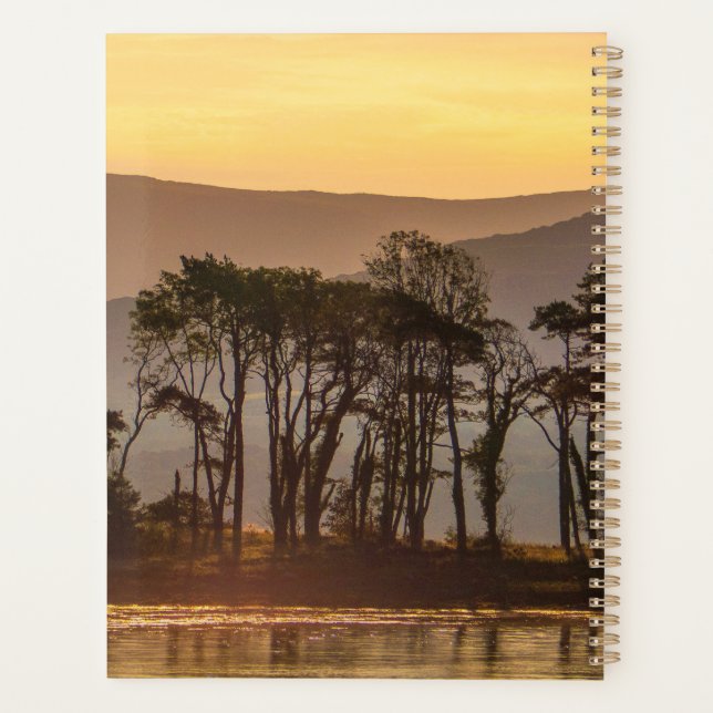 Golden Hour Trees Reflection Planner | Naturkunst Planer (Rückseite)