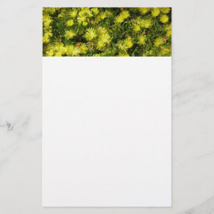 Golden Ice Pflanze Gelbe Blumen Briefpapier
