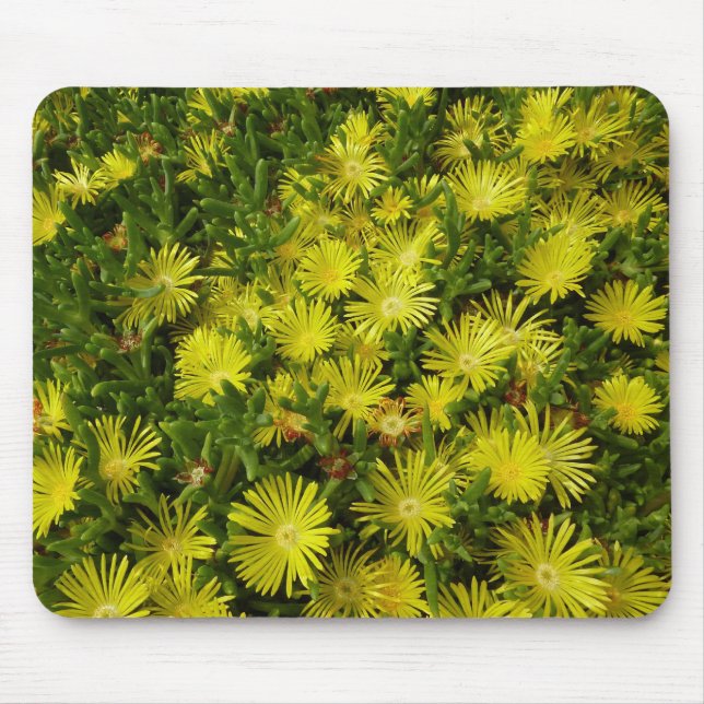 Golden Ice Pflanze Gelbe Blumen Mousepad (Vorne)