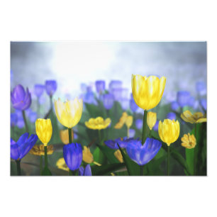 Golden Jubilee Foto Print