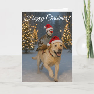 Golden Labrador and Partridge Christmas card Karte