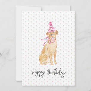 Golden Labrador Birthday Hat Balloons Dog Pet Fun