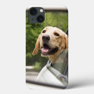 Golden Labrador im Rückspiegel Case-Mate iPhone Hülle