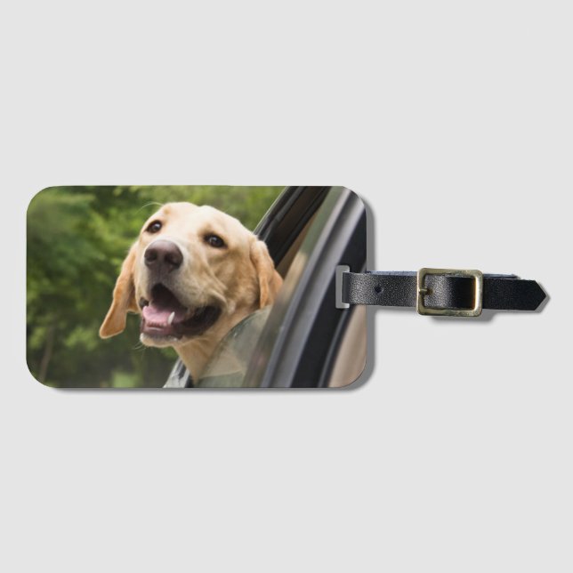 Golden Labrador in Rearview Mirror Gepäckanhänger (Vorderseite (Horizontal))