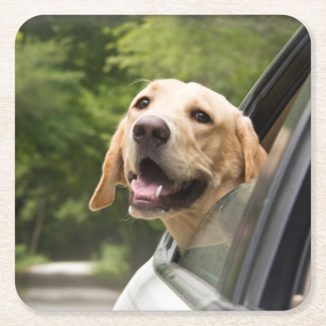 Golden Labrador in Rearview Mirror Rechteckiger Pappuntersetzer (Vorderseite)