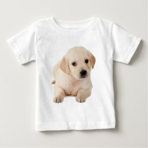 Golden Labrador Puppy Baby T-shirt