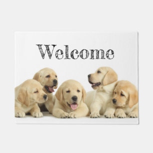 Golden Labrador Puppy Fußmatte