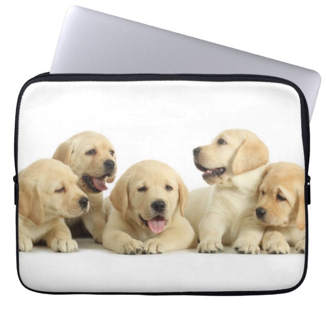 Golden Labrador Puppy Pile Laptopschutzhülle (Vorderseite)
