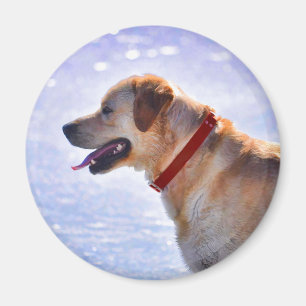 Golden Labrador Retriever Dog-Lover Geschenk Magnet