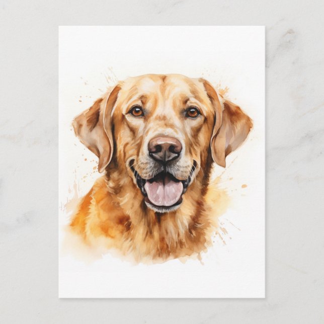 Golden Labrador Retriever Dog Postkarte (Vorderseite)