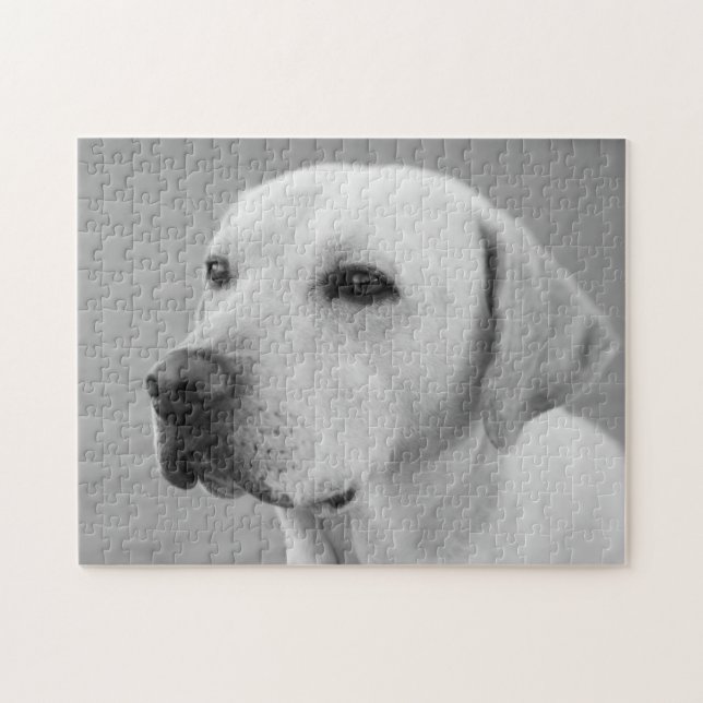 Golden Labrador Retriever Fotografie| BW Puzzle (Horizontal)