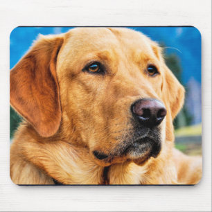 Golden Labrador Retriever Mousepad