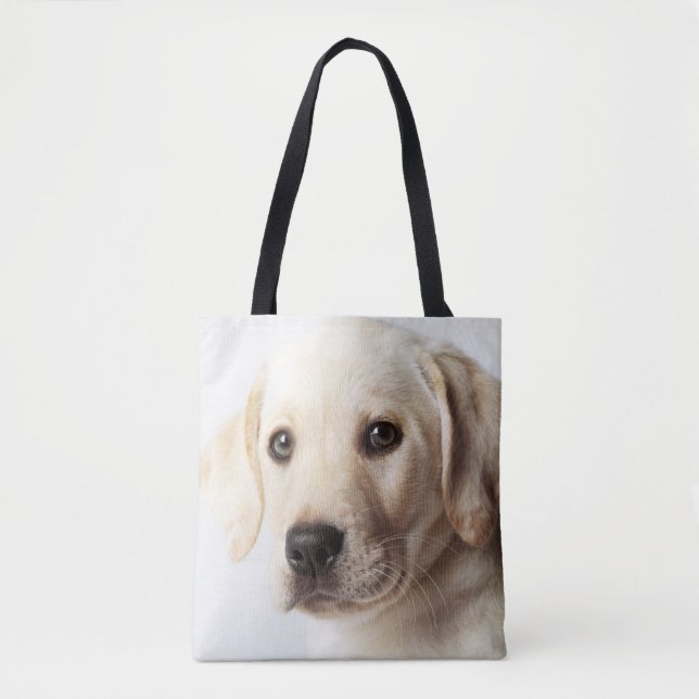 Golden Labrador Welpe (Vorderseite)