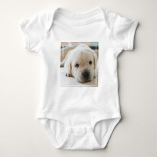 Golden Labrador Welpe Baby Strampler