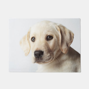 Golden Labrador Welpe Fußmatte